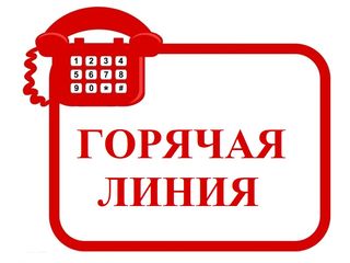 Роспотребнадзор проводит «горячую линию»  по профилактике ВИЧ-инфекции.