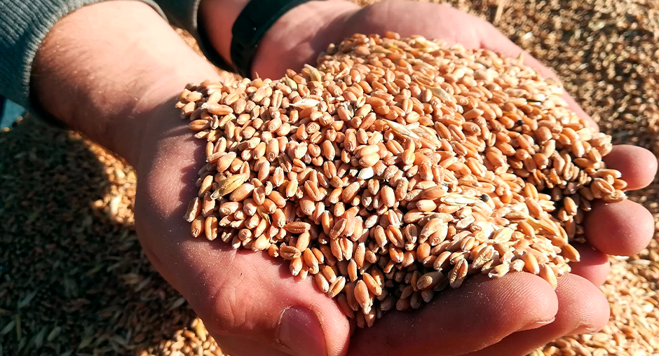 Как избежать проблем с декларированием продукции.