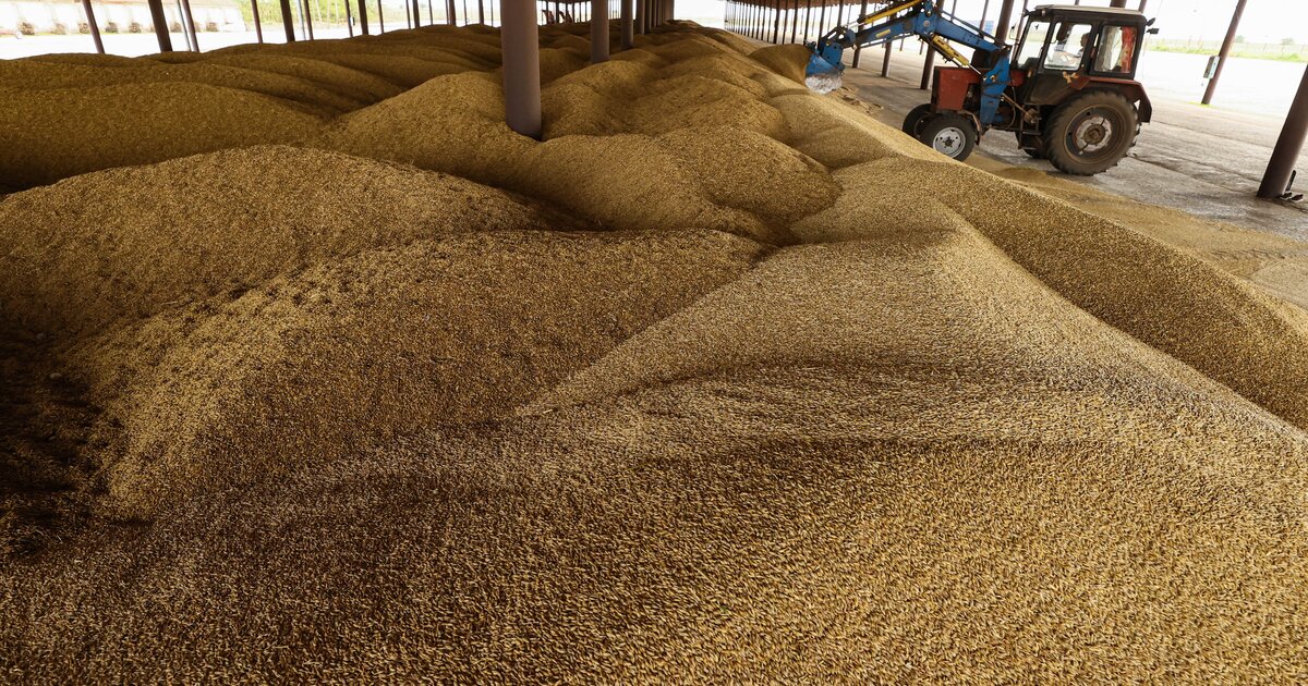 1 миллион 126 тысяч тонн продукции растительного происхождения экспортировали алтайские аграрии в I полугодии 2025 года.