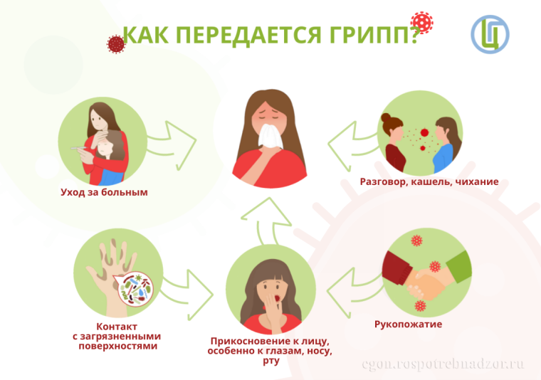 О гриппе и мерах его профилактики. О гриппе и мерах его профилактики.