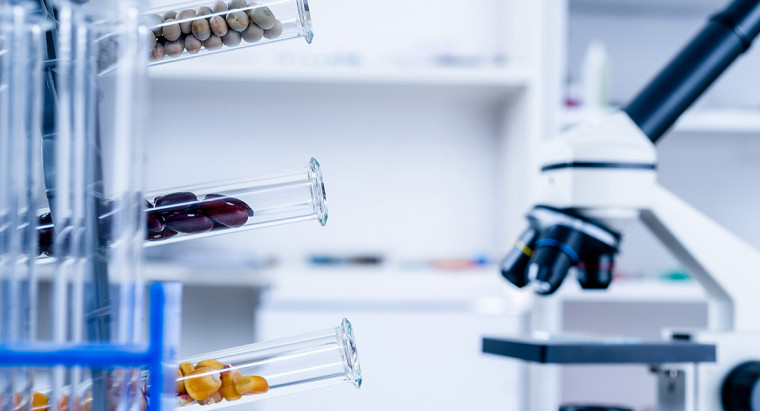 Микробиология зерна и продуктов его переработки. Микробиология зерна и продуктов его переработки.