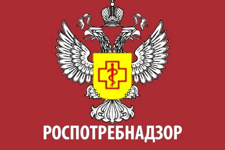 С 15 по 26 мая 2023 года Роспотребнадзор проводит «горячую линию» по вопросам профилактики клещевого энцефалита. С 15 по 26 мая 2023 года Роспотребнадзор проводит «горячую линию» по вопросам профилактики клещевого энцефалита.