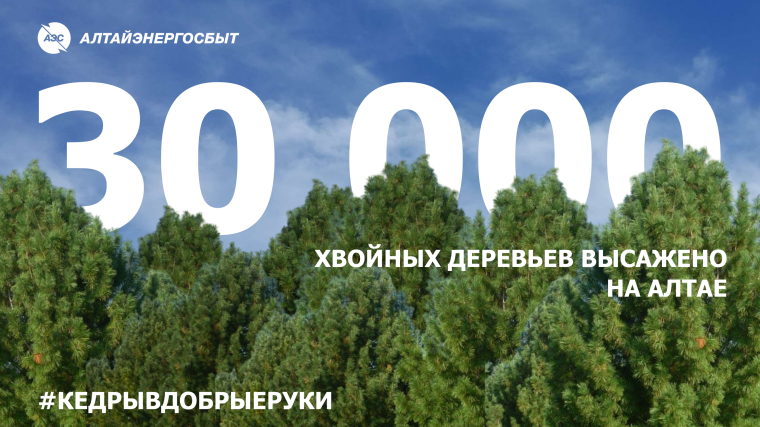 БЛАГОДАРЯ АКЦИИ ЭНЕРГЕТИКОВ «КЕДРЫ В ДОБРЫЕ РУКИ» НА АЛТАЕ ВЫСАЖЕНО 30 000 ХВОЙНЫХ ДЕРЕВЬЕВ. БЛАГОДАРЯ АКЦИИ ЭНЕРГЕТИКОВ «КЕДРЫ В ДОБРЫЕ РУКИ» НА АЛТАЕ ВЫСАЖЕНО 30 000 ХВОЙНЫХ ДЕРЕВЬЕВ.