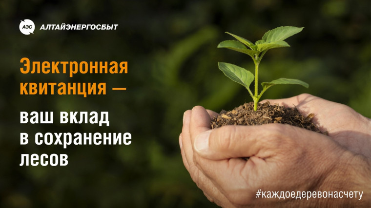 Спрос на онлайн-квитанции "Алтайэнергосбыт" в Алтайском крае вырос в 1,7 раза. Спрос на онлайн-квитанции "Алтайэнергосбыт" в Алтайском крае вырос в 1,7 раза.