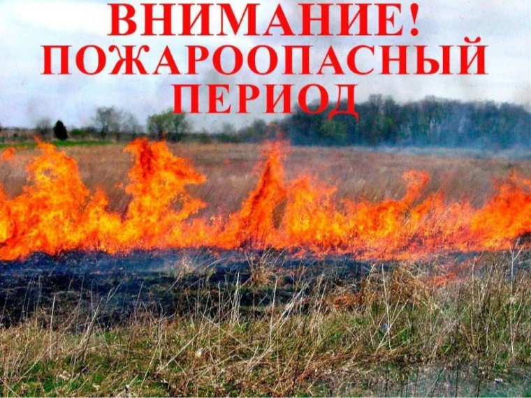 Правила сжигания мусора и разведения костров на садовых участках / даче: как не нарушить правила.