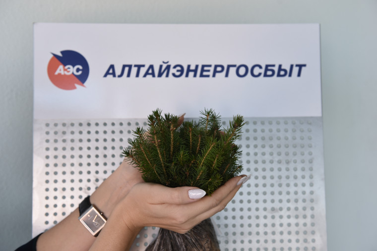 "Алтайэнергосбыт" высадит 4500 хвойных растений в рамках акции "Кедры в добрые руки". "Алтайэнергосбыт" высадит 4500 хвойных растений в рамках акции "Кедры в добрые руки".