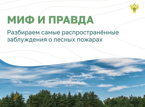 Миф и правда о лесных пожарах. Миф и правда о лесных пожарах.