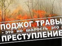 Правила сжигания мусора и разведения костров на садовых участках / даче: как не нарушить правила.